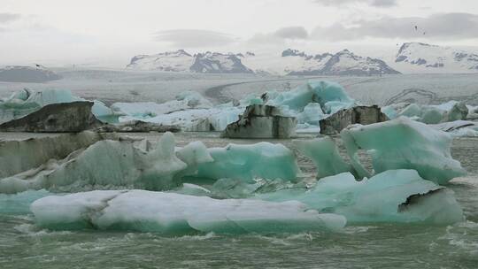 冰山和北极燕鸥在冰岛泻湖的河流上飞翔视频素材模板下载