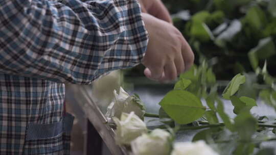 云南地拍种花基地内花农鲜花分类特写