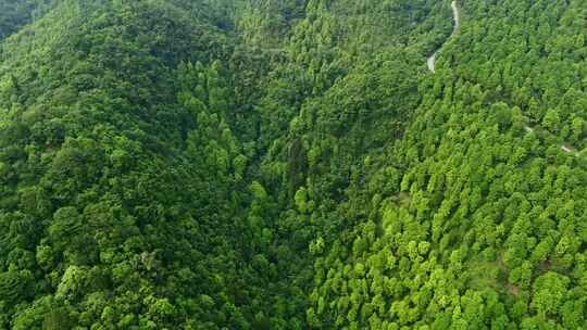 航拍原始森林青山群山