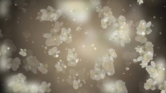 唯美白色茉莉花粒子背景视频视频素材模板下载