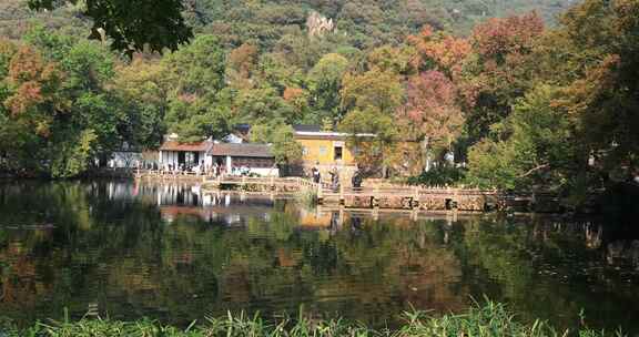 秋天阳光湖水秋叶美丽苏州天平山秋景