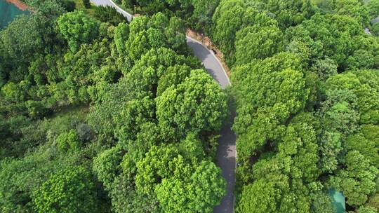 航拍江西九江南山公园