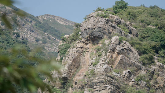 森林山崖悬崖峭壁岩石