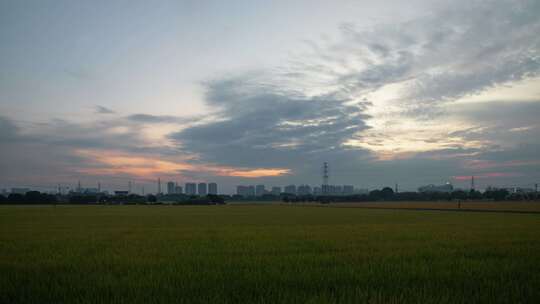 朝霞下的稻田田园风光延时