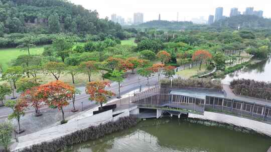 中国广东省佛山市顺德顺峰山公园