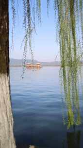 杭州西湖柳浪闻莺柳树小船
