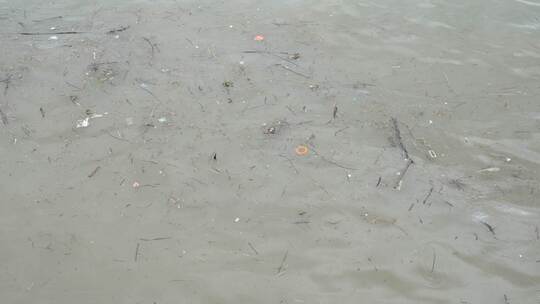 水面杂物 脏河水 漂浮 空境 高码素材 log