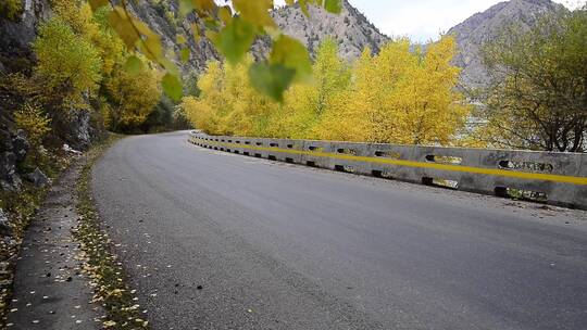 新疆道路交通