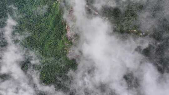 海南乐东县尖峰岭国家森林公园热带雨林