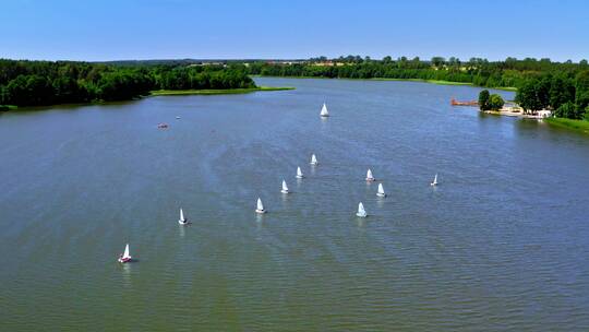 夏季湖上的帆船赛视频素材模板下载
