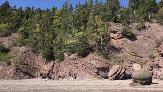 加拿大霍普韦尔岩石海底圆形岩石