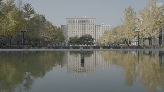 清华校园 清华大学 清华建筑