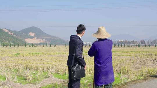 工作人员在田间地头和农民交谈