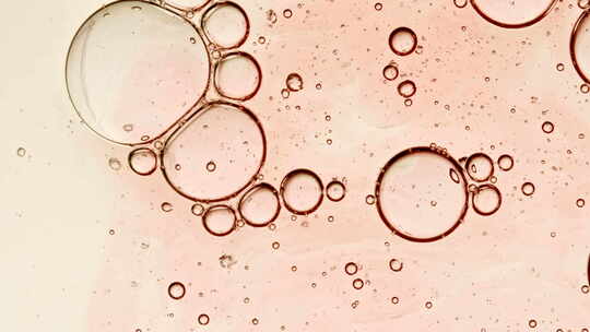 显微镜下的细胞-透镜