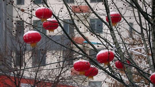 雪中的红灯笼视频素材春节年味瑞雪兆丰年