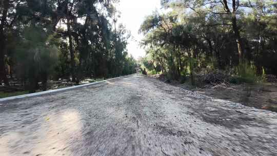 穿越机跟拍人物树林中奔跑女性大自然中奔跑