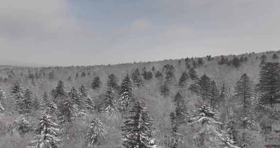 长白山雪岭景区航拍