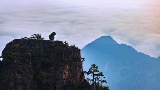 4K黄山延时摄影猴子观海