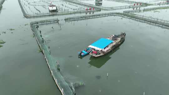 航拍苏州阳澄湖大闸蟹蟹田养殖阳澄湖风光