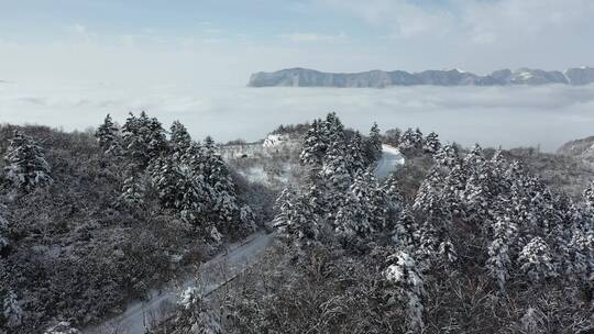 航拍湖北神农架冬季冬天阳光冰雪雪松雪景