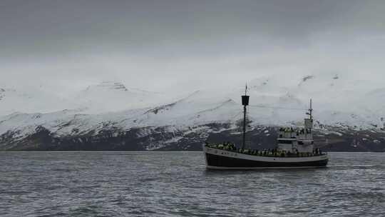 冰岛观鲸视频素材模板下载