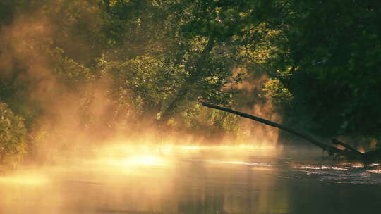 清晨梦幻水雾湖面，春天野外森林