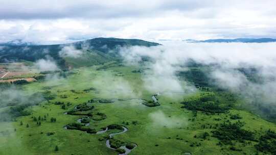 高山湿地哈乌尔河  九曲十八弯河流视频素材模板下载