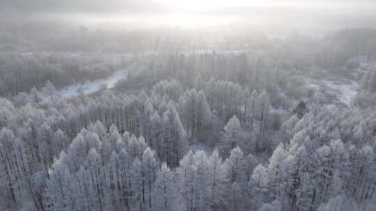 航拍林海雪原雪林风景