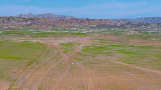 4K航拍新疆阿勒泰萨尔布拉克草原羊群视频素材模板下载