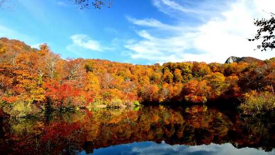 秋天秋季秋叶秋风红叶红杉树枫叶湖泊