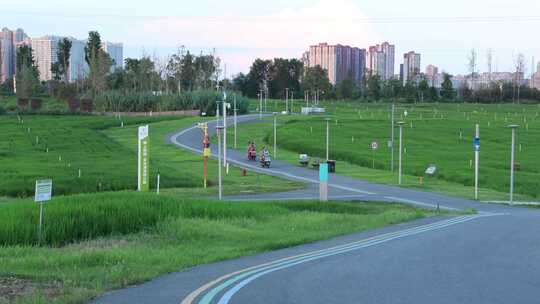 成都环城绿道 骑车 散步滑板绿道跑步