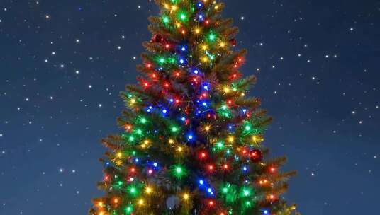 装饰彩灯的圣诞树夜景