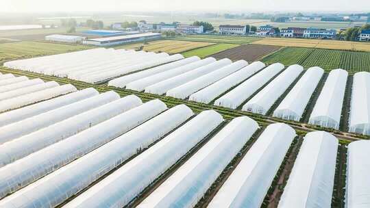 空中俯瞰蔬菜大棚种植基地