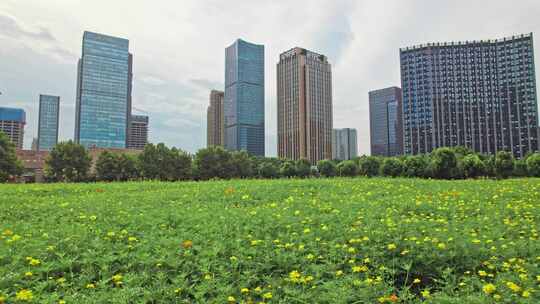 杭州临平城市大景