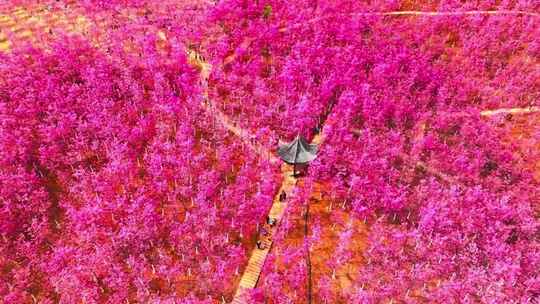 中国城市地标建筑风景航拍纪录片