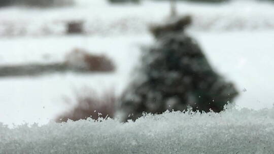 雪花飘落到地上特写镜头