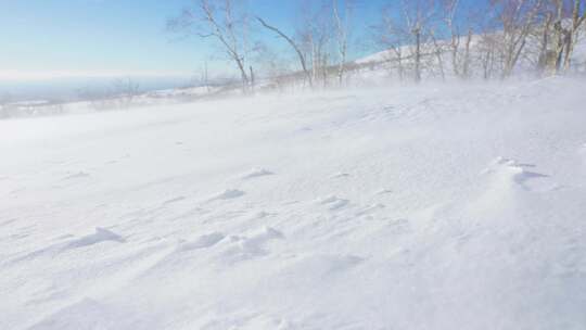 【4K】长白山冬季风吹雪视频素材模板下载