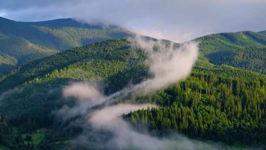 绿色森林云雾飘动山峰青山迷雾