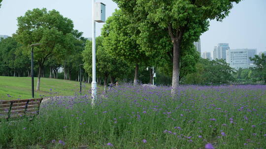 武汉市汉阳区墨水湖公园