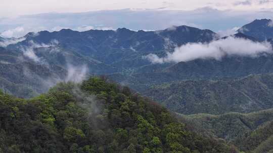 黄山茶山云雾黄山猴坑村风貌