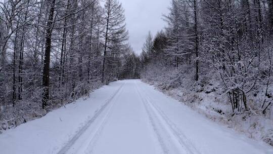 行驶在大兴安岭森林雪路上