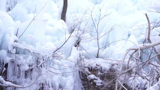 景区 冰柱 冰 白色 自然景观 风景