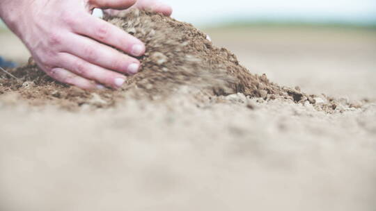 手捧土壤的农民检查土壤质量