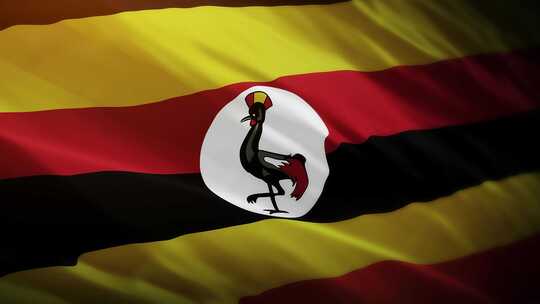 乌干达国旗挥舞-4K