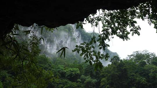 悬崖峭壁树枝小雨天气山洞景色素材