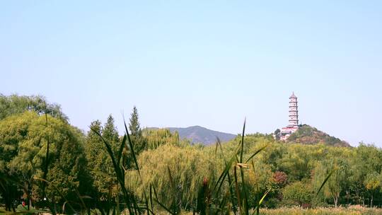4K升格实拍远眺北京秋天玉泉山的塔