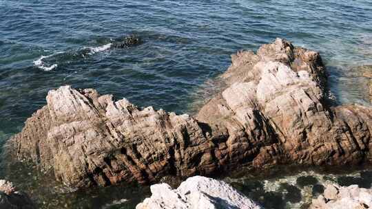 海岛蓝天水母