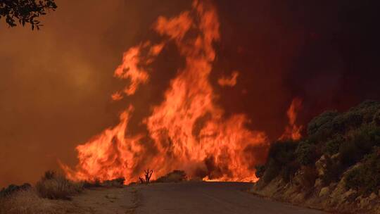 山林道路上燃起大火视频素材模板下载