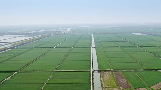 中国乡村农业经济发展大型农场种植地