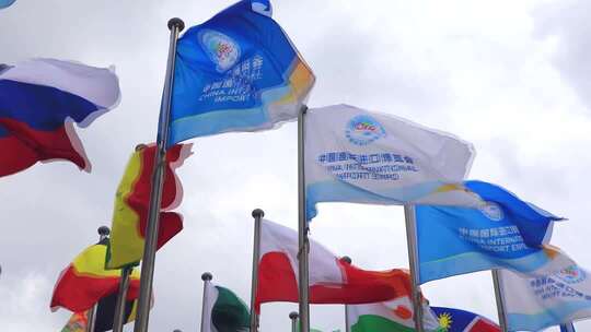 上海第八届进口博览会  上海进博会